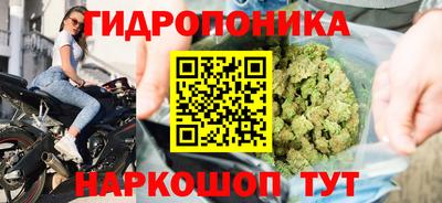 крисы Балашиха