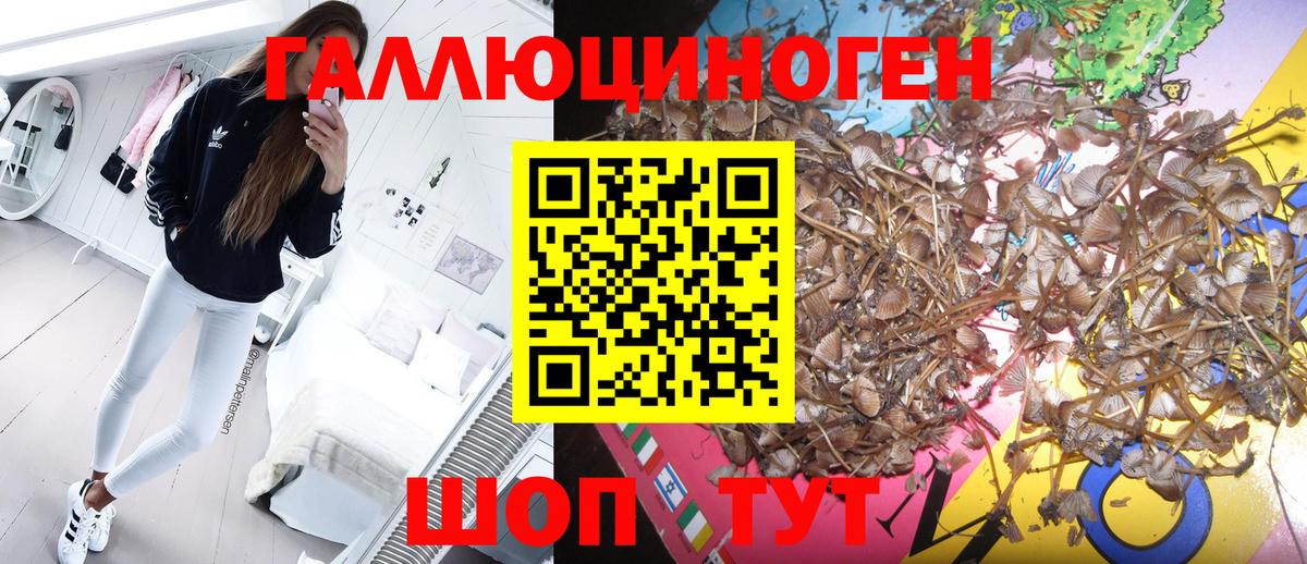 Галлюциногенные грибы мицелий  Галлюциногенные грибы мицелий  Вход с VPN  Гуково 